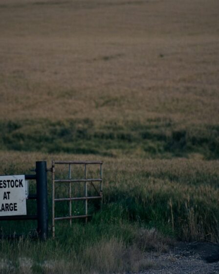 Działki budowlane: kluczowy zakup dla inwestorów 4 Photo land for sale