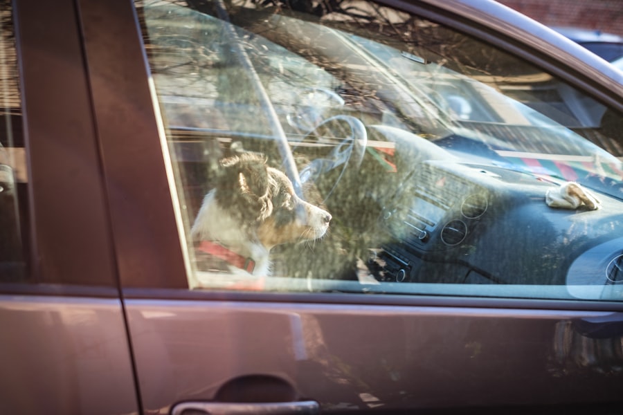 Photo car window replacement